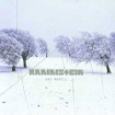 Rammstein Das Modell Формат: CD-Single (Maxi Single) Дистрибьютор: Motor Лицензионные товары Характеристики аудионосителей 2006 г : Импортное издание инфо 10976o.