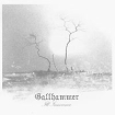 Gallhammer Ill Innocence Формат: Audio CD (Jewel Case) Дистрибьюторы: Концерн "Группа Союз", Snapper Music Россия Лицензионные товары Характеристики аудионосителей 2009 г Альбом: Российское издание инфо 11070o.